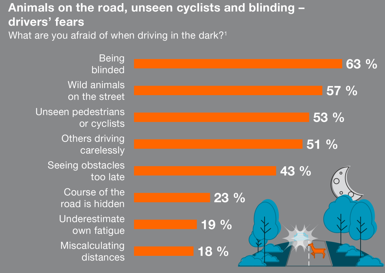 drivers fear being blinded, wild animals on the streets or pedestrians that they don't see